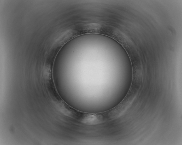 X0000113220083200909101159