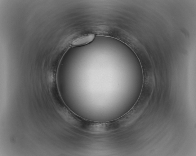 X0000113220084200909101159