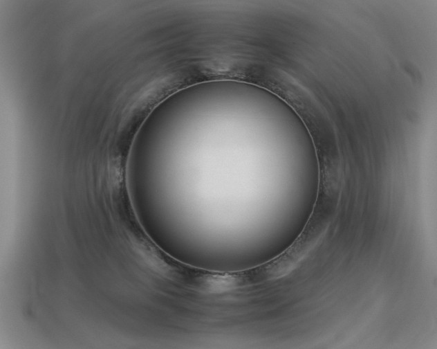 X0000113220085200909101159