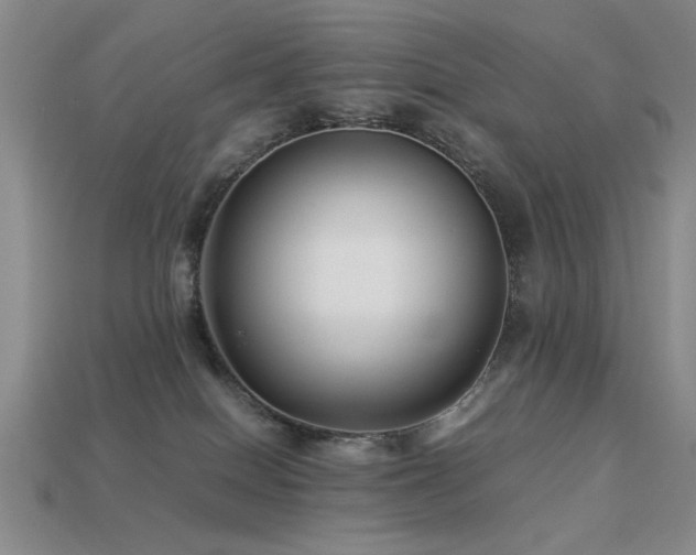 X0000113220086200909101159