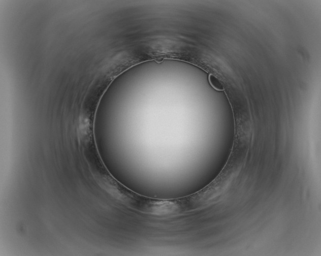 X0000113220087200909101159