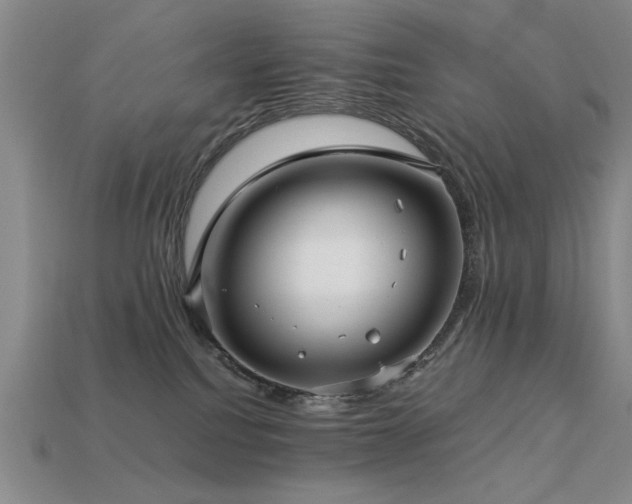 X0000113220088200909101159