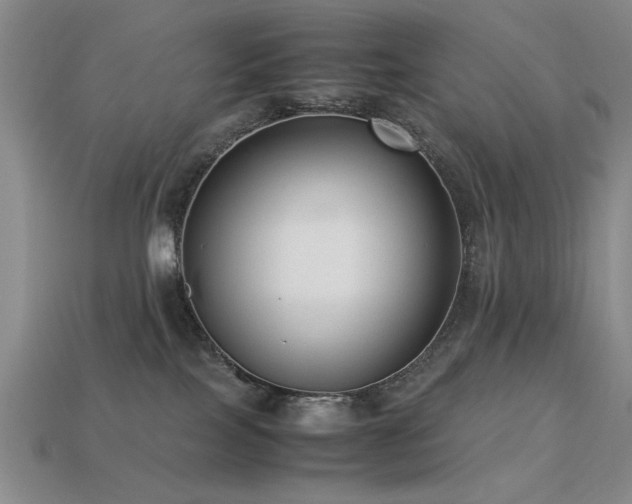 X0000113220089200909101159