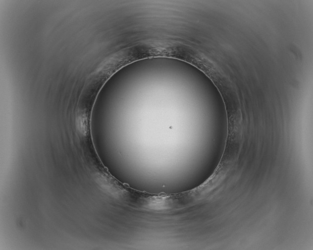 X0000113220090200909101159