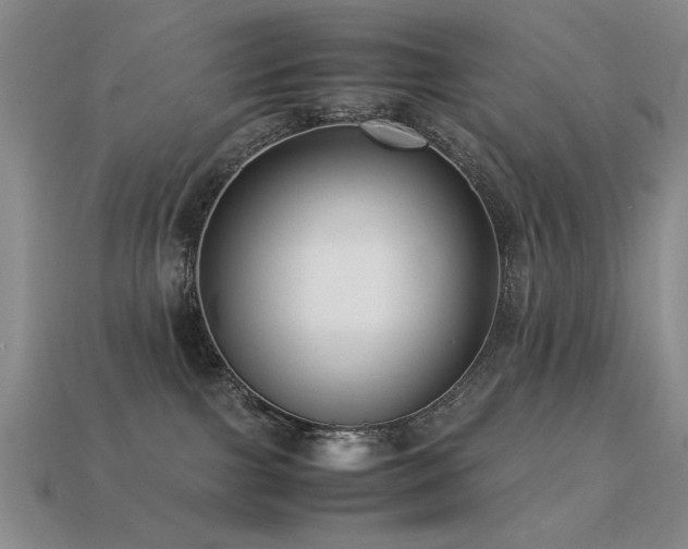 X0000113220091200909101159