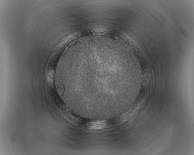 X0000113220093200909101159