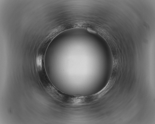 X0000113220094200909101159