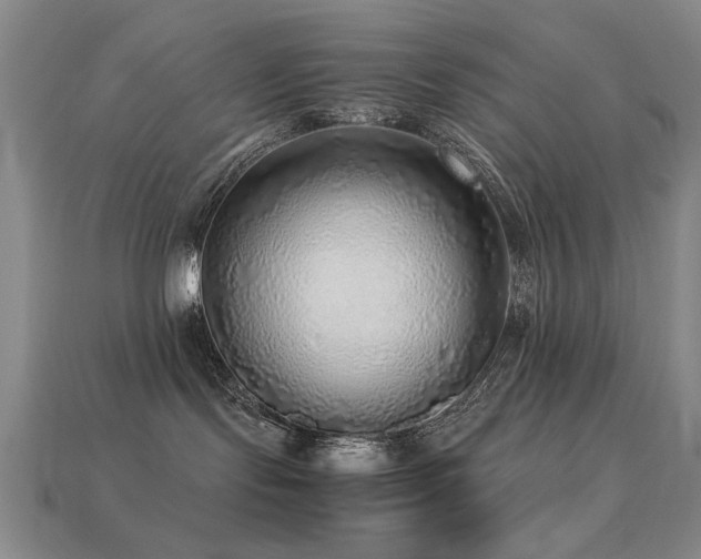 X0000113220095200909101159