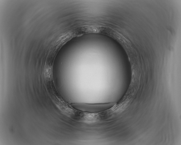 X0000113220096200909101159