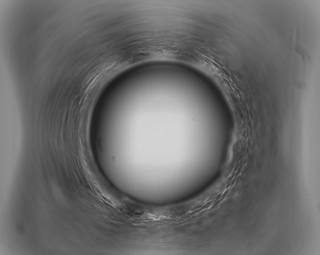 X0000113220097200909101158