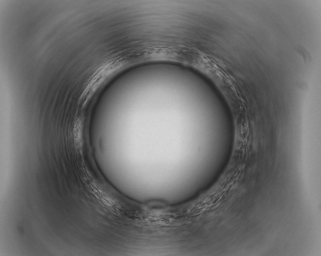 X0000113220098200909101158