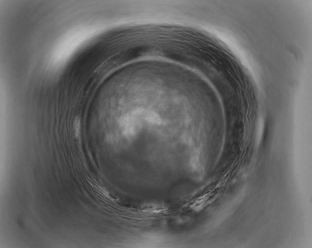 X0000113220099200909101158