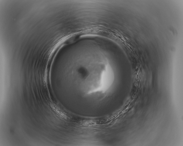 X0000113220100200909101158