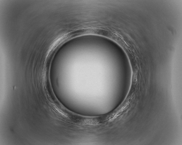 X0000113220101200909101158