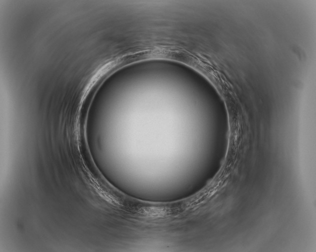 X0000113220102200909101158