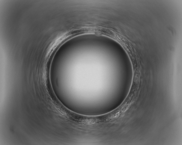 X0000113220103200909101158