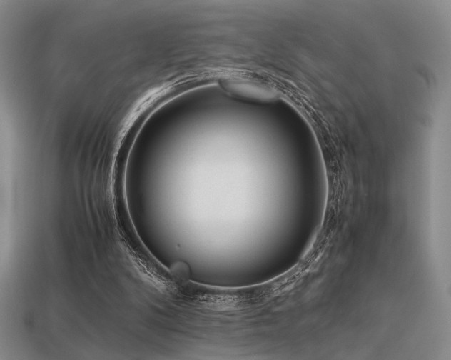 X0000113220104200909101158