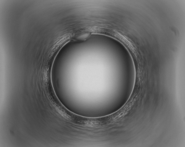 X0000113220105200909101158