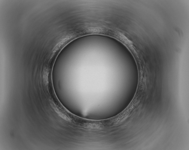 X0000113220106200909101158