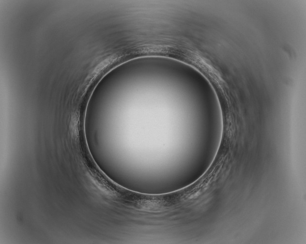 X0000113220107200909101158