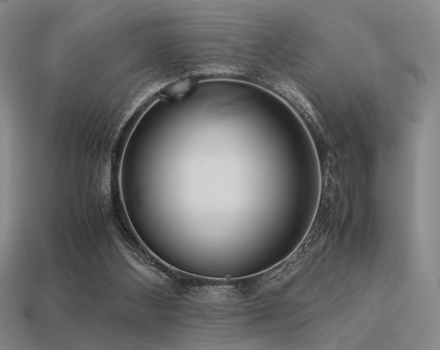 X0000113220108200909101158