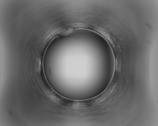 X0000113220109200909101158