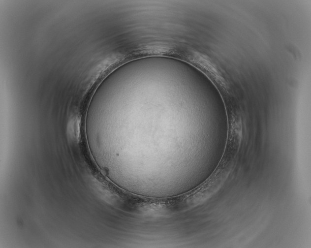 X0000113220110200909101158