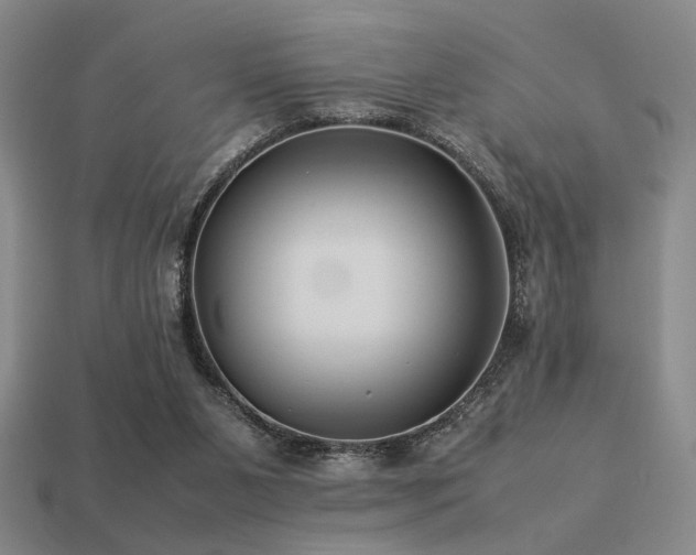 X0000113220111200909101158