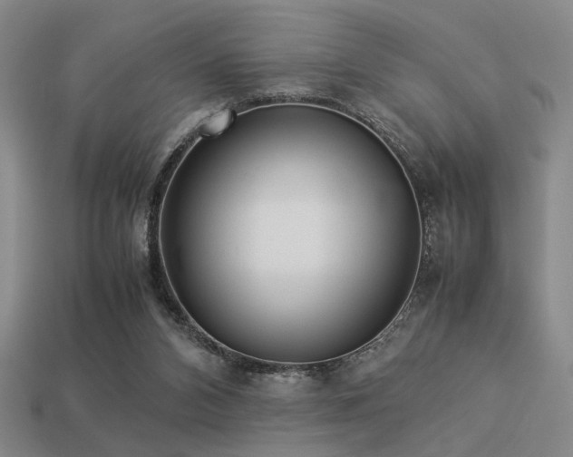 X0000113220112200909101158