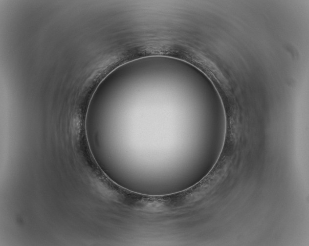 X0000113220113200909101158