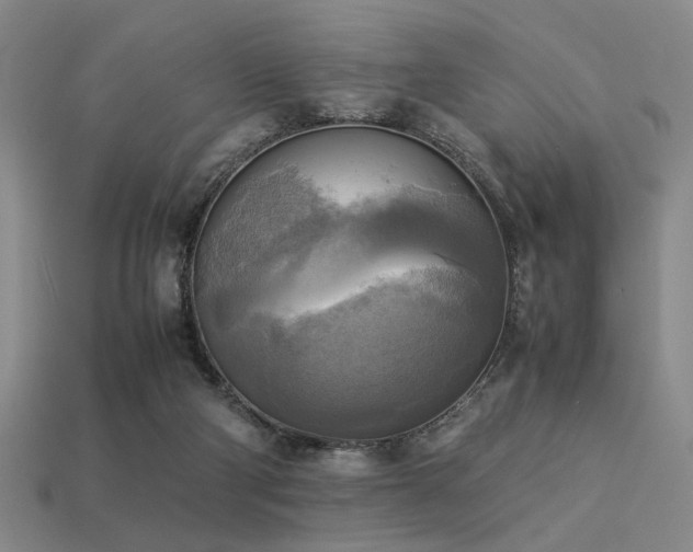 X0000113220114200909101158