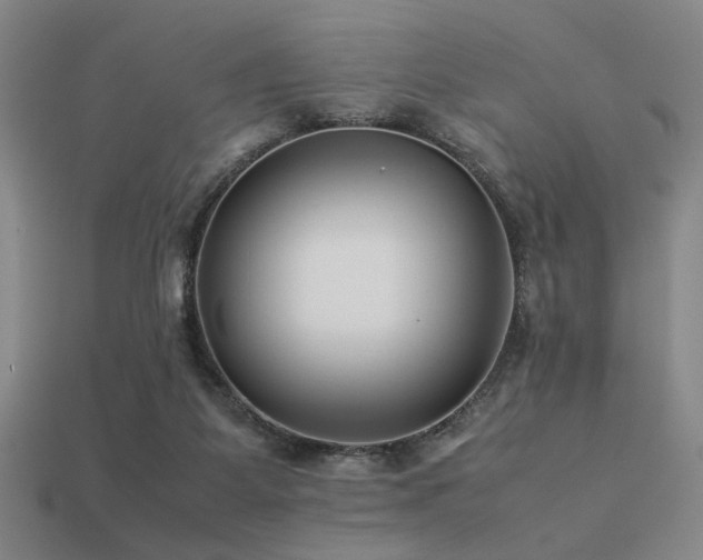 X0000113220115200909101158