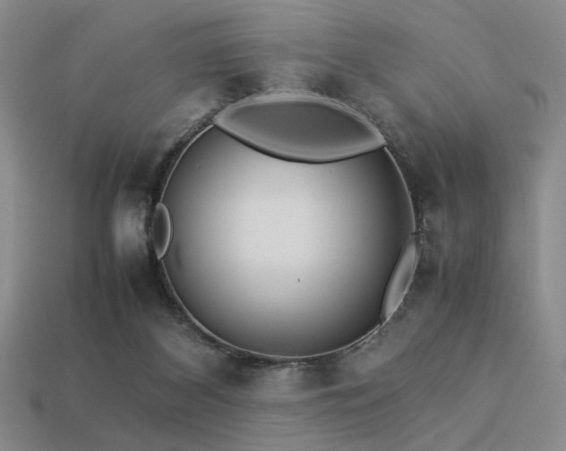 X0000113220116200909101158