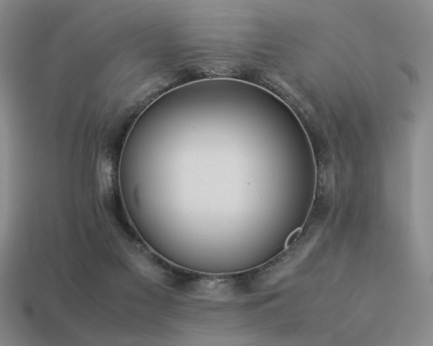 X0000113220117200909101158