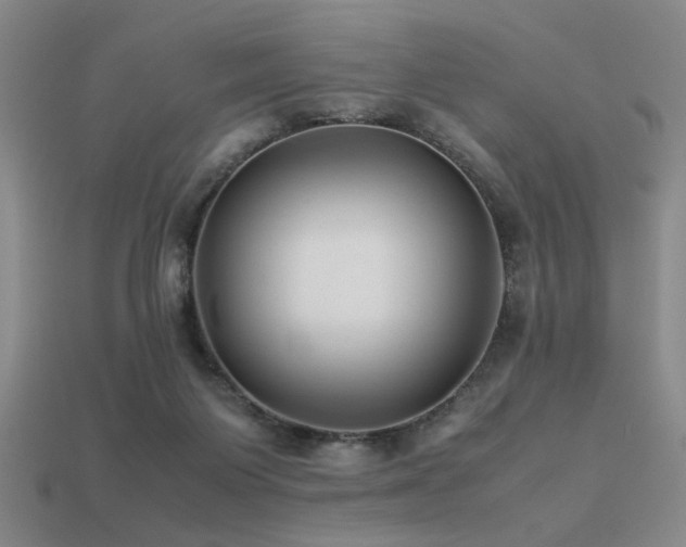 X0000113220119200909101158