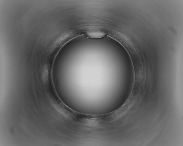 X0000113220120200909101158