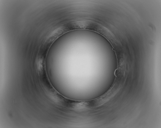 X0000113220122200909101158