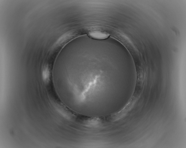 X0000113220124200909101158