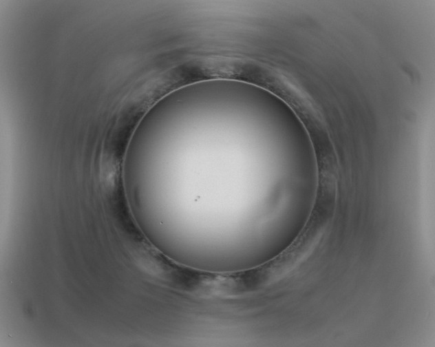 X0000113220125200909101158