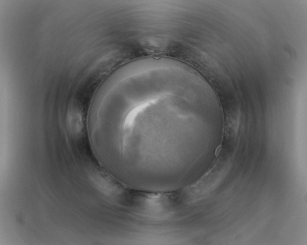 X0000113220130200909101158