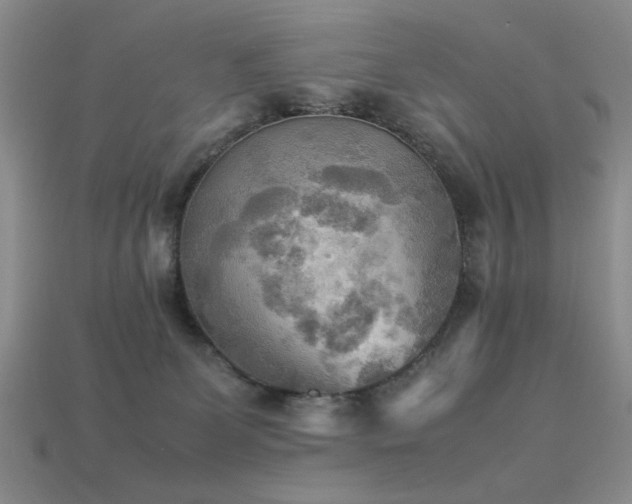 X0000113220131200909101158