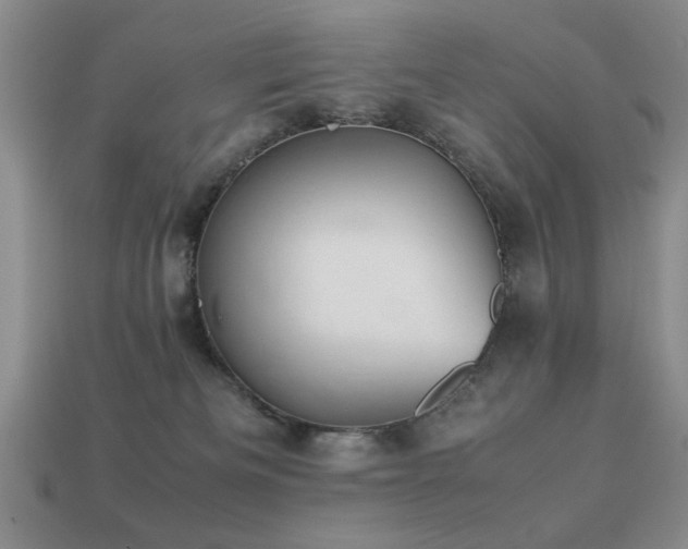 X0000113220133200909101158