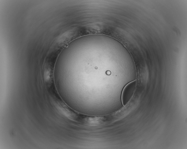 X0000113220134200909101158