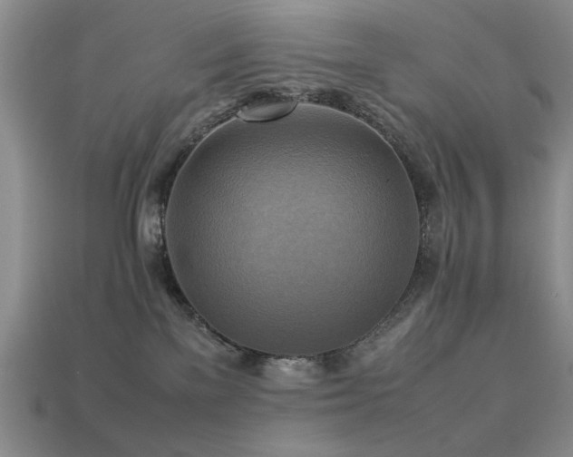 X0000113220137200909101158