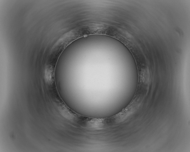 X0000113220138200909101158