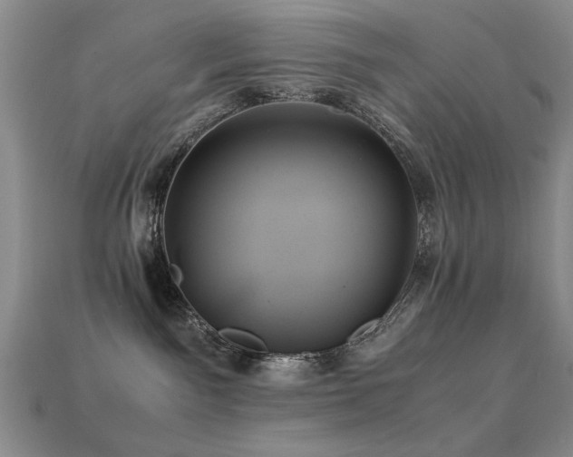 X0000113220141200909101158