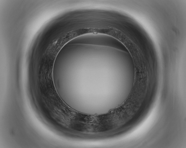 X0000113220143200909101158