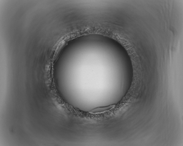 X0000113220144200909101158