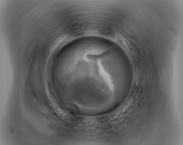 X0000113220145200909101157