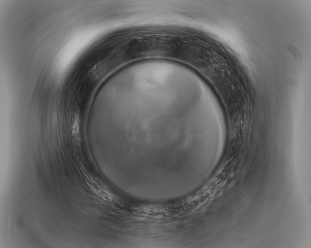 X0000113220146200909101157